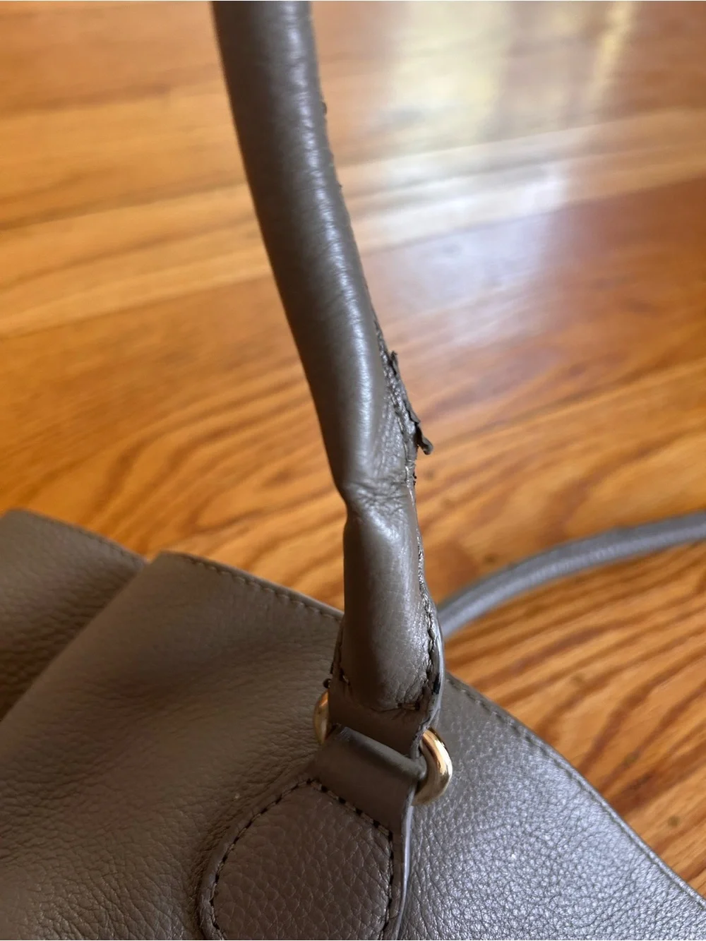 Celine Dion this handbag